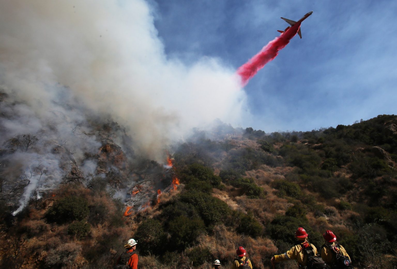 Detox From Smoke, Heavy Metals, and Mold Grace Yoga